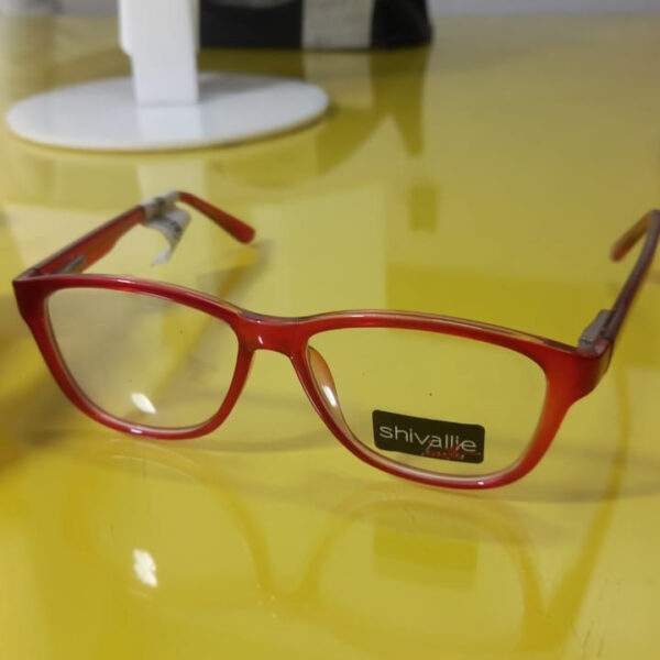Zilo Feminino